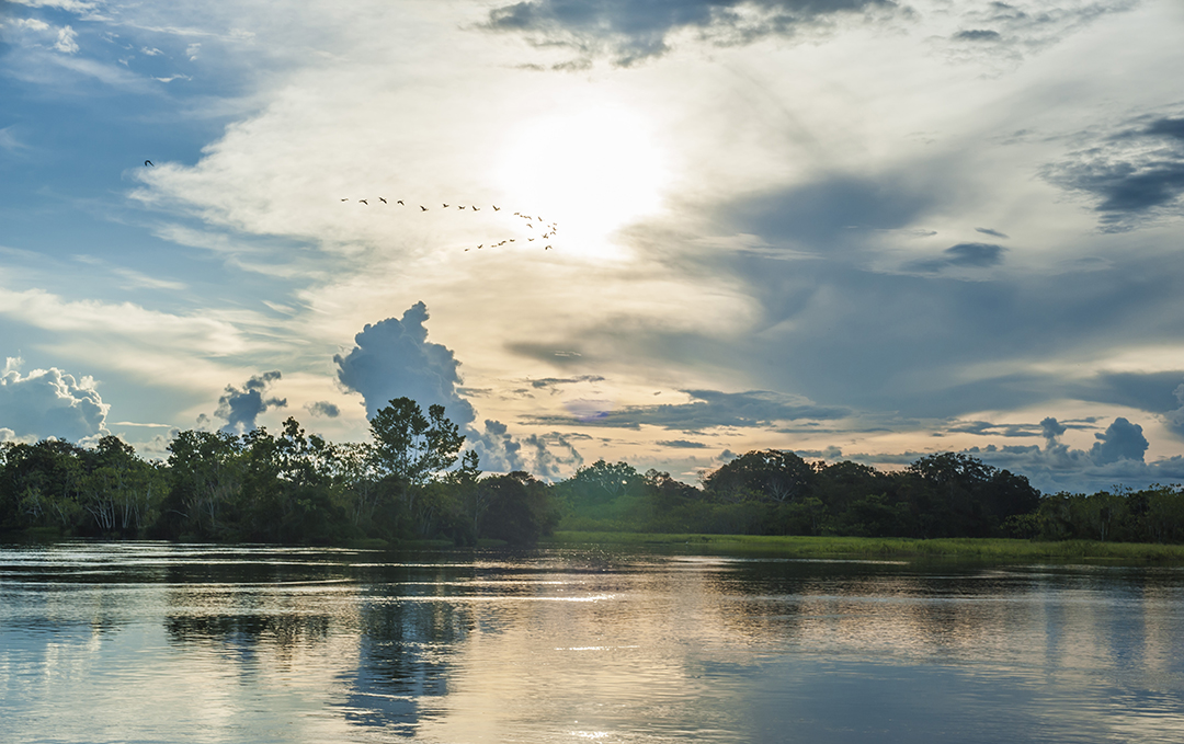 Amazon – Landscapes – 02